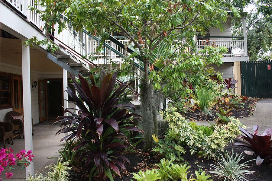 Ellie'S Guest House Brisbane Kültér fotó